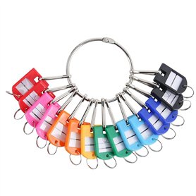 Lrtzizy Organisateur de Clés Portable en Métal avec 20 Crochets à Ressort et Porte-Clés avec Anneau et Fenêtre D'Étiquette
