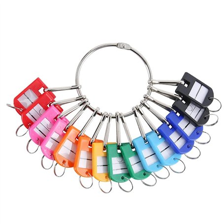 Lrtzizy Organisateur de Clés Portable en Métal avec 20 Crochets à Ressort et Porte-Clés avec Anneau et Fenêtre D'Étiquette