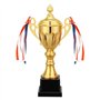 Tiamu Coupe Trophée d'or Hauteur 29cm