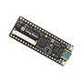 Asyduey 1 Pcs Tang Nano Minimalist FPGA Development Board Tang Nano 1K Development Board Straight Insert Breadboard Part