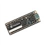 Asyduey 1 Pcs Tang Nano Minimalist FPGA Development Board Tang Nano 1K Development Board Straight Insert Breadboard Part