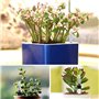 FutureHight 10 Pièces Appareil de Mesure de l'Humidité du Sol 20 cm Indicateur de Niveau d'eau des Plantes Indicateur de Niveau 