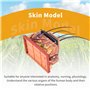 Kopinma Modèle d'Anatomie Humaine, Modèle d'anatomie de Puzzle de Peau Humaine, Modèle Anatomique pour L'enseignement Médical Sc