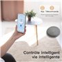 AIRROBO P20 Aspirateur Robot, 2800Pa Puissance d'Aspiration, 120 Mins d'Autonomie, Robot Aspirateur Intelligente Connecté WiFi/A