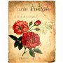 67 cm - Différentes images imprimées en papier de mûrier 30 g/m² - F