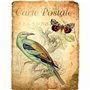Carte Postale Lot de 6 feuilles de papier de riz 20,32 x 26,67 cm - Différentes images imprimées en papier de mûrier 30 g/m² - F