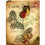 Carte Postale Lot de 6 feuilles de papier de riz 20,32 x 26,67 cm - Différentes images imprimées en papier de mûrier 30 g/m² - F