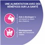 PURINA ONE Bifensis Junior | Croquettes Au Poulet pour Chaton | Sac de 450g (L'emballage Peut Varier)