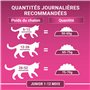 PURINA ONE Bifensis Junior | Croquettes Au Poulet pour Chaton | Sac de 450g (L'emballage Peut Varier)