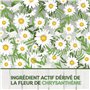 Pyrel Aérosol Anti-insectes rampants, Répulsif Rampants Fourmis et Cafards - Protection longue durée - 1 Aerosol 300 ML