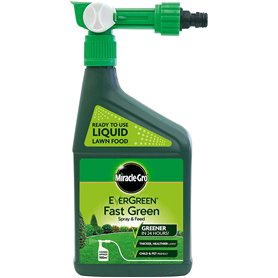 EverGreen Spray d'engrais et engrais pour pelouse 1 litre