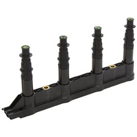 Delphi Bobine d'allumage GN10239-12B1