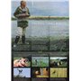 Royaume-Uni espèces en récupération Oiseaux Présentation Lot de timbres 401