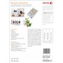 10 feuilles papier blanc
