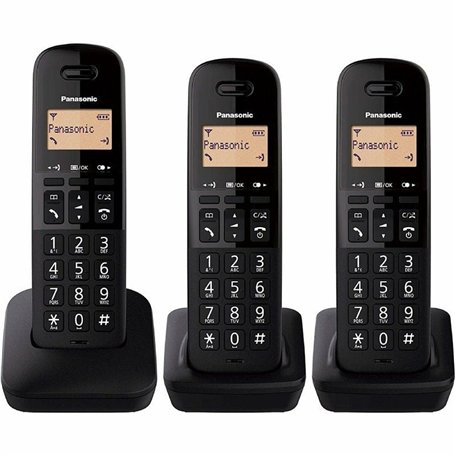 Téléphone IP Panasonic KX-TGB613SPB