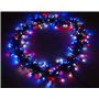 Christmas Concepts® LED Chasing Lights - Intérieur/Extérieur - Boîtier de commande à 8 fonctions (rouge