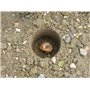 Garland Plantoir de bulbes avec Manche