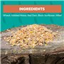 The Wild Bird Mélange de graines pour Oiseaux 2 kg – Nourriture pour Toutes Les Saisons – Pleine de nutriments et d'énergie