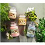 Bougie Parfumée Yankee Candle 10.00114.0846