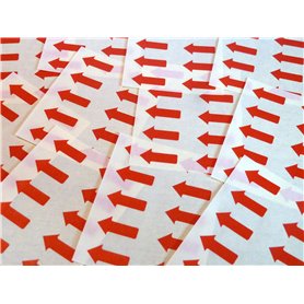 Lot de 100 étiquettes amovibles en forme de flèches de 20 x 10 mm