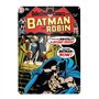 Batman and Robin Targa Metallica Grande [Import]