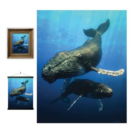 3D LiveLife Affiche Murales Lenticulaires Baleine Bleue de Deluxebase. Poster Océans 3D sans cadre. Décoration Murale Parfaite.