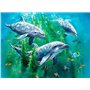 3D LiveLife Affiche Murales Lenticulaires Dauphins et Algues de Deluxebase. Poster Océan 3D sans Cadre. Décoration Murale Parfai