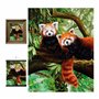 3D LiveLife Affiche murales lenticulaires Panda Roux de Deluxebase. Poster Faune 3D sans cadre. Décoration murale parfaite. Oeuv