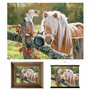 3D LiveLife Affiche murales lenticulaires La Visite Deluxebase. Poster Cheval 3D sans cadre. Décoration murale parfaite. Oeuvre