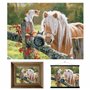3D LiveLife Affiche murales lenticulaires La Visite Deluxebase. Poster Cheval 3D sans cadre. Décoration murale parfaite. Oeuvre 