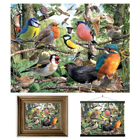 3D LiveLife Affiche murales lenticulaires Maison de la Nature de Deluxebase. Poster Oiseau 3D sans cadre. Décoration murale parf