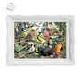 3D LiveLife Affiche murales lenticulaires Maison de la Nature de Deluxebase. Poster Oiseau 3D sans cadre. Décoration murale parf