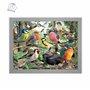 3D LiveLife Affiche murales lenticulaires Maison de la Nature de Deluxebase. Poster Oiseau 3D sans cadre. Décoration murale parf