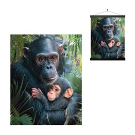 3D LiveLife Affiche Murales Lenticulaires Calins Mignons de Deluxebase. Poster Chimpanzé 3D sans Cadre. Décoration Murale Parfai
