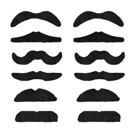TRIXES Lot de 12 Fausses Moustaches Auto-adhésives Assorties pour déguisement – x6 The Smarty