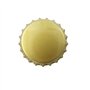 TRIXES 100 Pièces Capsules Couronnes Bouchons Métalliques Dorés de Bouteilles Bière Maison