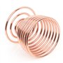 TRIXES 2 x Coquetiers Roses Or Fil d'acier Spirale Ressort