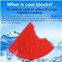 TRIXES 2PC Blocs de congélation Fantaisie pastèque – Mini Blocs de Glace pastèque – Parfaits pour Les boîtes à déjeuner et Les P