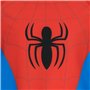 Spiderman l'homme Araignée - Maillot de Bain Deux pièces Garçon - 5-6 Ans