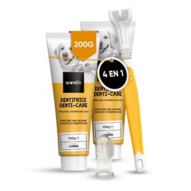Brosse a dents chien 3 Têtes