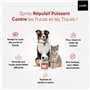Menthe Poivrée Chatons &