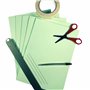 Papier cartonné A4 pour imprimante, vert clair - 160 g/m² 40 feuilles - Carton de couleur - Pour la confection, l'impression, la