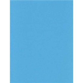 Lot de 40 feuilles de papier coloré A4 80 g/m² Couleurs fluo pastel vives pour imprimantes à jet d'encre et photocopieuses (Bleu