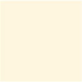 Lot de 60 feuilles de papier coloré A4 80 g/m² Couleurs fluo pastel pour imprimantes à jet d'encre et photocopieuses (ivoire pas