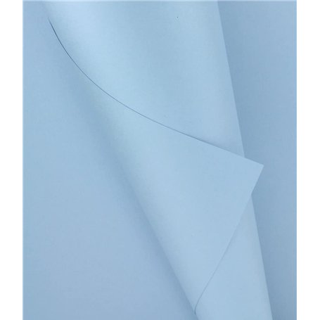 Lot de 100 feuilles de papier coloré A4 80 g/m² Couleurs fluo pastel vives pour imprimantes à jet d'encre et photocopieuses (Ble