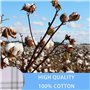 Doux Coton En