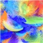 Plumes d'oie