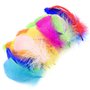 Plumes Décoratives