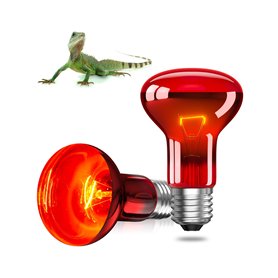 GlowUp E27 Reptile Ampoules Chauffantes 50W