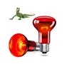 GlowUp E27 Reptile Ampoules Chauffantes 50W